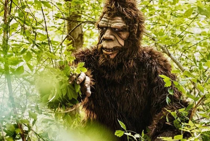 Cover Image for Bigfoot Heard ‘Screaming and Whooping’ in Connecticut’s Sasquatch Hotspot, Spooking Local Wildlife